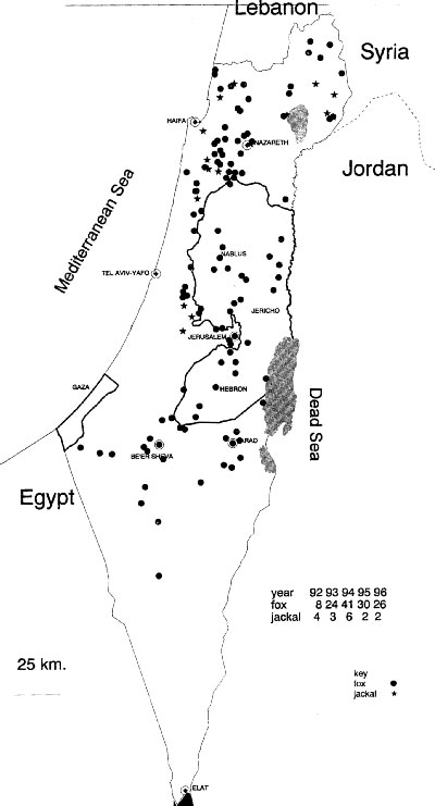 Rabies in fauna in Israel, 1992-1996.