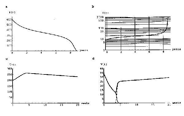 A simulation of HIV dynamics for the model (A.1) - (A.3) with T(0) = 600/mm3 and Vs(0) = 10/mm3. The curves correspond to data in (11). The set-point of the virus is in the middle range (15) and corresponds to a typical disease progression of about 9 years. The contribution to the plasma virus from the external lymphoid compartment is more than 90%, as may be computed from equation (A.3). The curves T(t) and Vs(t) are approximately inversely proportional, as may be seen from equation (A.3) (the