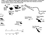 Thumbnail of The California Channel Islands, with prevalence of Sin Nombre virus (SNV) and Seoul* hantaviruses on each island in 1994 (6). Channel Islands National Park comprises San Miguel, Santa Rosa, Santa Cruz, Anacapa, and Santa Barbara Islands.