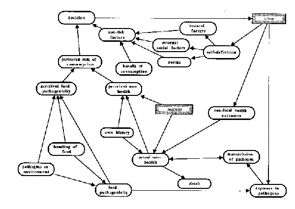 Diagram of the foodborne model.