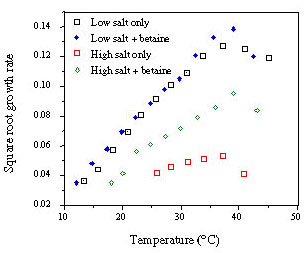 Effect of betaine on the growth of Escherichia coli in glucose-minimal medium. Without added NaCl the growth rate yield and minimum growth temperature are the same with and without betaine. With 4% NaCl the growth rate and yield are lower without betaine and the actual minimum temperature for growth is approximately 9°C lower than with betaine (K. Krist, unpub. data).