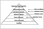 Thumbnail of The prevalence of illness pyramid. Passive surveillance data represent only the tip of the iceberg. For a bacterial infection to be included in the passive surveillance system, it must pass through the following steps: a person becomes ill with a diarrheal disease, the patient must go to a doctor, the doctor must order a bacterial stool culture, the assigned microbiology laboratory must culture for this organism and report the infection to the state health department, and the state