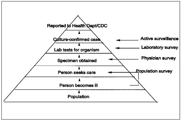The prevalence of illness pyramid. Passive surveillance data represent only the tip of the iceberg. For a bacterial infection to be included in the passive surveillance system, it must pass through the following steps: a person becomes ill with a diarrheal disease, the patient must go to a doctor, the doctor must order a bacterial stool culture, the assigned microbiology laboratory must culture for this organism and report the infection to the state health department, and the state health depart