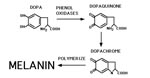 Thumbnail of Proposed pathway for melanin synthesis by C. neoformans.