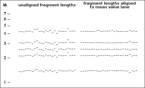 Additional alignment of very similar patterns can identify clearly distinct patterns. Measurement noise obscures the detailed relationships between 26 patterns that were identified from 1,335 as being very similar. However, after alignment to a consensus pattern, a clearly distinct pattern (an outlier from the other members of this autocluster) can be readily identified. Fragment lengths are given in kilobasepairs (kb).
