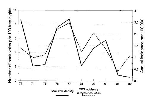 Time series of Guillain-Barré syndrome incidence, 1973–1982, relative to bank vole abundance in the same years. Untransformed data.