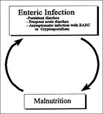 Thumbnail of Relationship between diarrhea and malnutrition (31, 60–62).