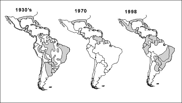 Geographic distribution of Aedes aegypti in the Americas, 1930s, 1970, and 1998.