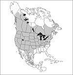 Thumbnail of Geographic distribution of the deer mouse, Peromyscus maniculatus (shaded) (48).