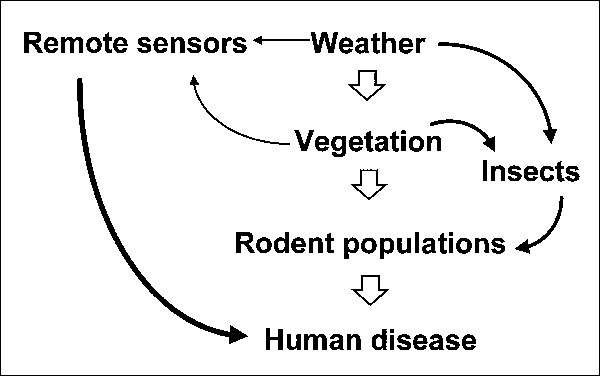 Simplified hypothetical model of interactions among ecosystem components within disease-endemic areas for rodent-borne zoonotic disease. Left-hand side of model demonstrates potential use of remote sensors (satellites) for predicting relative risk for human disease.