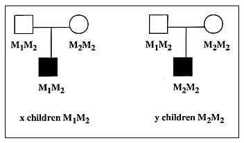 Principle of the transmission disequilibrium test (TDT) for investigating association between a disease and allele M1. The sample consists of x+y families with one affected child and two parents. For ease of presentation, we assume that only one parent is heterozygous for M1 (e.g., M1M2), although the second parent could be used for the test if he were himself heterozygous for M1. There are x affected children who have received allele M1 from their M1M2 parent and y who have received M2. The TDT