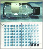Thumbnail of Examples of simple diagnostic assays for insecticide resistance include bioassays run in treated bottles (upper) and biochemical detection and measurement of resistance enzyme activity in microplates (lower).