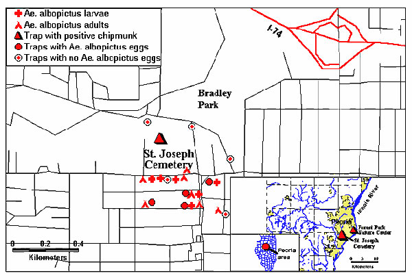 Locations in Peoria, Illinois, where Aedes albopictus larvae and adults were found and where a La Crosse–positive chipmunk was trapped. Location of oviposition traps are shown, including traps where no Ae. albopictus eggs were deposited. Insets show location of Peoria and of the study sites.