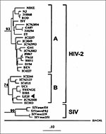Thumbnail of Phylogenetic classification of HIV-2 sequence from Lebanese patient LE25 (arrow) basing on the prot gene (GenBank accession no. AF026912). The tree was generated by the maximum-likelihood method. Numbers at the branch nodes connected with subtypes indicate bootstrap values. The distinct HIV-2 subtypes are delineated. The scale bar indicates an evolutionary distance of 0.10 nucleotides per position in the sequence. Vertical distances are for clarity only.