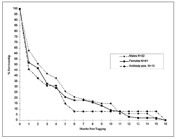 Survivorship functions (percentage of brush mice known to be alive after initial capture) based on recapture data, Santa Rita Experimental Range, southeastern Arizona, May 1995–December 1997.