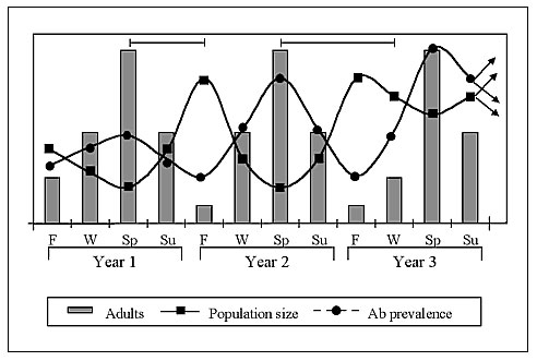 A hypothetical schematic of seasonal changes in hantavirus prevalence, rodent host population density, and population age structure.In the first autumn, after a normal breeding season, the high density population consists primarily of young not exposed to virus or recently exposed before development of antibody. Because of deaths in winter, populations decrease to a spring nadir. However, antibody prevalence is high in this population of overwintered adults exposed during the previous breeding s