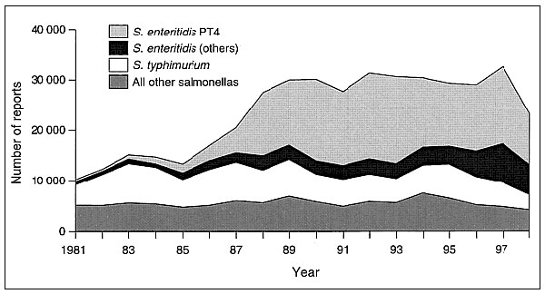 Salmonella infections, 1981–1998.