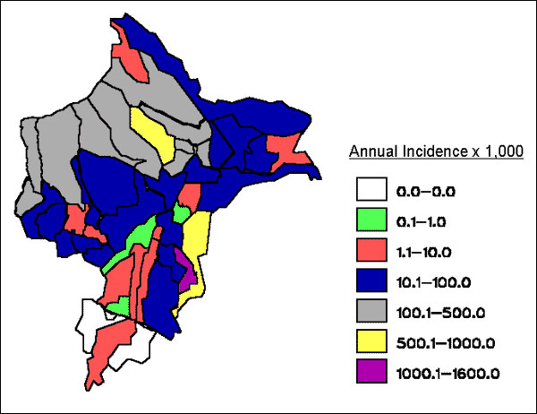 Annual parasite index in Loreto, by district (per 1,000 population).