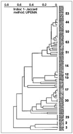 Thumbnail of A dendrogram represents spoligotyping results of 95 Mycobacterium tuberculosis isolates from Guadeloupe (shared patterns are shown by bold characters). From top to bottom; type 53, ubiquitous; type 44, described by Goguet et al. (two cases) (18); type 54, which does not appear, is found only in isolate 94142, a pattern also found in French Guiana; type 37, which also does not appear, described by Kamerbeek et al. (three cases) (11); type 50, ubiquitous; type 63, specific; type 61, w