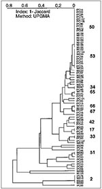 Thumbnail of A dendrogram illustrating spoligotyping results of 76 Mycobacterium tuberculosis isolates from French Guiana (shared patterns are shown in bold). Top to bottom; patterns 50 and 53, ubiquitous; types 54 and 36, which do not appear, are found only for isolates IPC99 and IPC57, respectively; type 34, a ubiquitous type that was limited to French Guiana in this study; types 66 and 67, specific; type 42, ubiquitous; type 17, specific; type 33, ubiquitous; type 51, ubiquitous; type 31, whi