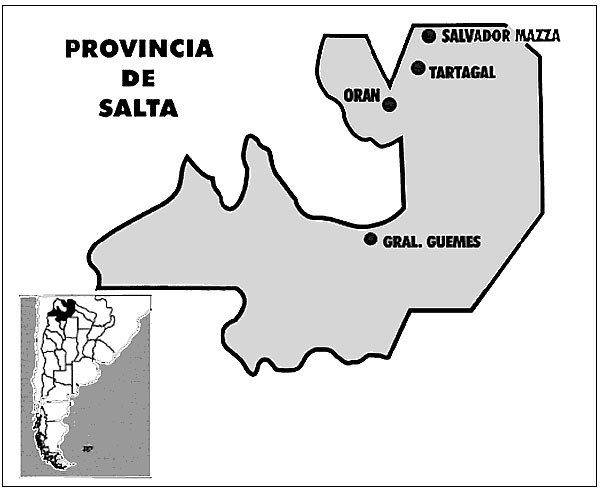 Surveillance for dengue virus infections in Salta Province: Localities with cases.
