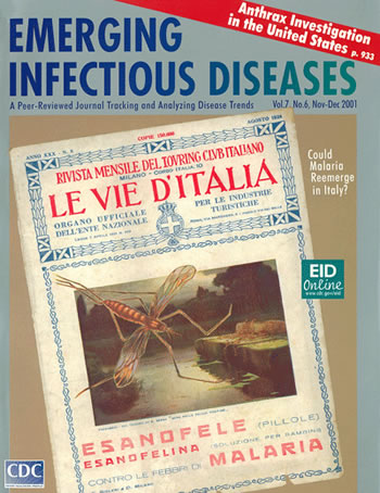 Cover of Le Vie d’Italia magazine from 1924 provided courtesy of Dr. Guido Sabatinelli