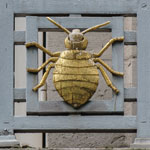 Missing from the cover collage of the bronze figures is this bedbug. Although a worldwide problem, bedbugs are not a disease vector.