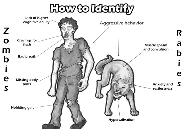 Comparison of physical characteristics of zombies and of animal with rabies.