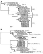 Thumbnail of Phylogenetic analysis of viral protein 60 (VP60) capsid (n = 47) and nonstructural (n = 44) and VP60 capsid (n = 47) genes of RHDV strains from Australia and reference sequences. Maximum likelihood phylogenies of the A) VP60 capsid genes and B) nonstructural genes were prepared from an alignment of the newly sequenced RHDV samples (bold) along with published sequences (accession numbers of published sequences indicated in the taxa name). The JN165235/FP/China/2009 and JN165234/XA/Ch