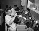 Thumbnail of Dr. P.R. Edwards of the US Public Health Service seated in the background, and George Herman working in the Enteric Bacteriology Unit Laboratory. Dr. Edwards joined the staff of the Communicable Disease Center of the Public Health Service in 1948 and served as Chief of the Enteric Bacteriology Unit until June 1962, when he accepted the post of Chief of the Bacteriology Section at CDC. Image source: Public Health Image Library. 