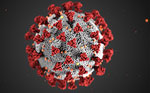 Thumbnail of Illustration reveals the ultrastructural morphology exhibited by coronaviruses. Note the spikes that adorn the outer surface of the virus, which impart the look of a corona surrounding the virion, when viewed electron microscopically. Photo: CDC/ Alissa Eckert, MS; Dan Higgins, MAMS