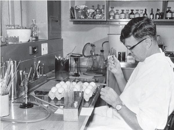 Frank Fenner at the John Curtin School of Medical Research, Canberra, Australia, inoculating embryonating eggs with myxoma virus, 1950. Used with permission of the John Curtin School of Medical Research.